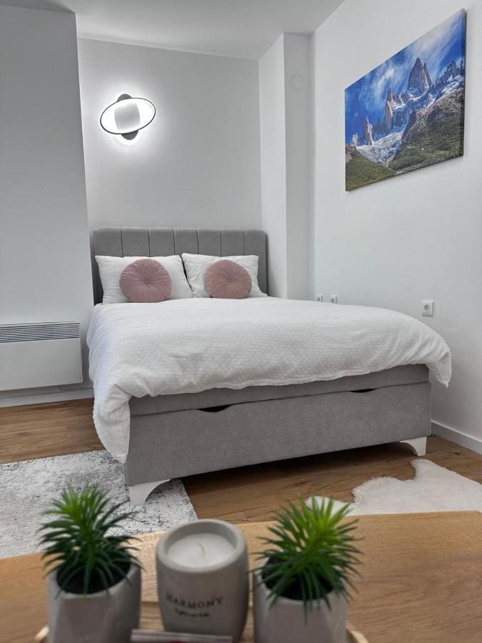 Grey Igloo Apartment *
